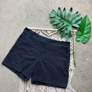 Loft Blue Lace Shorts Size 8